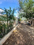 Prachtige villa met 5 slaapkamers en 1 badkamer nabij de stad Sax in Alicante Dream Homes Castalla 