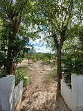 Prachtige villa met 5 slaapkamers en 1 badkamer nabij de stad Sax in Alicante Dream Homes Castalla 