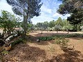 Prachtige villa met 5 slaapkamers en 1 badkamer nabij de stad Sax in Alicante Dream Homes Castalla 