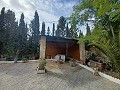 Prachtige villa met 5 slaapkamers en 1 badkamer nabij de stad Sax in Alicante Dream Homes Castalla 