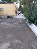 Prachtige villa met 5 slaapkamers en 1 badkamer nabij de stad Sax in Alicante Dream Homes Castalla 