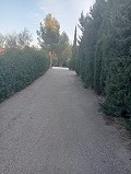 Prachtige villa met 5 slaapkamers en 1 badkamer nabij de stad Sax in Alicante Dream Homes Castalla 