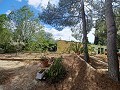 Prachtige villa met 5 slaapkamers en 1 badkamer nabij de stad Sax in Alicante Dream Homes Castalla 