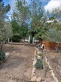 Prachtige villa met 5 slaapkamers en 1 badkamer nabij de stad Sax in Alicante Dream Homes Castalla 
