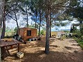 Prachtige villa met 5 slaapkamers en 1 badkamer nabij de stad Sax in Alicante Dream Homes Castalla 
