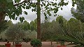 Prachtige villa met 5 slaapkamers en 1 badkamer nabij de stad Sax in Alicante Dream Homes Castalla 