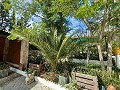 Prachtige villa met 5 slaapkamers en 1 badkamer nabij de stad Sax in Alicante Dream Homes Castalla 