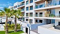 Penthouse de 2 chambres à Playa Flamenca in Alicante Dream Homes Castalla 