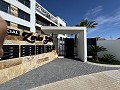 Penthouse de 2 chambres à Playa Flamenca in Alicante Dream Homes Castalla 