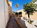 Villa de 7 chambres à San Miguel de Salinas in Alicante Dream Homes Castalla 
