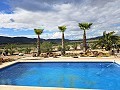 Schöne Villa mit 4 Schlafzimmern und 2 Bädern in Salinas. in Alicante Dream Homes Castalla 