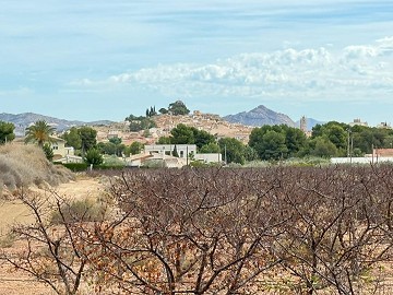Lovely plot walking distance to town   