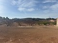 Prachtig bouwperceel op loopafstand van het centrum. in Alicante Dream Homes Castalla 