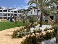 Bungalow met 3 slaapkamers in Punta Prima in Alicante Dream Homes Castalla 