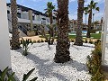 Bungalow met 3 slaapkamers in Punta Prima in Alicante Dream Homes Castalla 