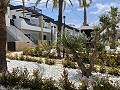 Bungalow met 3 slaapkamers in Punta Prima in Alicante Dream Homes Castalla 