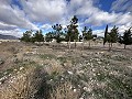 Urban Building plot in Salinas in Alicante Dream Homes Castalla 