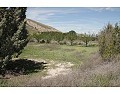 Prachtig landhuis met 3 slaapkamers en 2 badkamers in Villena. in Alicante Dream Homes Castalla 