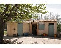 Prachtig landhuis met 3 slaapkamers en 2 badkamers in Villena. in Alicante Dream Homes Castalla 