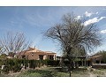 Prachtig landhuis met 3 slaapkamers en 2 badkamers in Villena. in Alicante Dream Homes Castalla 