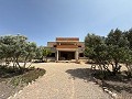 Fabelhafte, zu 70 % fertiggestellte Neubauvilla mit 7 Schlafzimmern und 4 Badezimmern zum Verkauf in Salinas. in Alicante Dream Homes Castalla 