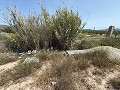 Fabelhafte, zu 70 % fertiggestellte Neubauvilla mit 7 Schlafzimmern und 4 Badezimmern zum Verkauf in Salinas. in Alicante Dream Homes Castalla 