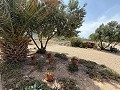 Fabelhafte, zu 70 % fertiggestellte Neubauvilla mit 7 Schlafzimmern und 4 Badezimmern zum Verkauf in Salinas. in Alicante Dream Homes Castalla 