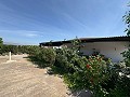 Lovely 4 Bedroom 2 Bath Villa in Villena with pool  in Alicante Dream Homes Castalla 