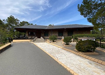 Superbe villa traditionnelle de 5 chambres et 2 salles de bains dans 140 000 m² de forêt à Sax