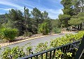 Superbe villa traditionnelle de 5 chambres et 2 salles de bains dans 140 000 m² de forêt à Sax in Alicante Dream Homes Castalla 