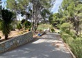 Superbe villa traditionnelle de 5 chambres et 2 salles de bains dans 140 000 m² de forêt à Sax in Alicante Dream Homes Castalla 