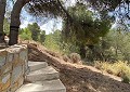 Superbe villa traditionnelle de 5 chambres et 2 salles de bains dans 140 000 m² de forêt à Sax in Alicante Dream Homes Castalla 
