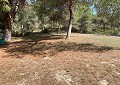 Superbe villa traditionnelle de 5 chambres et 2 salles de bains dans 140 000 m² de forêt à Sax in Alicante Dream Homes Castalla 
