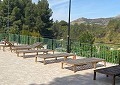 Superbe villa traditionnelle de 5 chambres et 2 salles de bains dans 140 000 m² de forêt à Sax in Alicante Dream Homes Castalla 