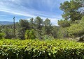 Superbe villa traditionnelle de 5 chambres et 2 salles de bains dans 140 000 m² de forêt à Sax in Alicante Dream Homes Castalla 