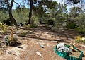 Superbe villa traditionnelle de 5 chambres et 2 salles de bains dans 140 000 m² de forêt à Sax in Alicante Dream Homes Castalla 