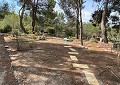 Superbe villa traditionnelle de 5 chambres et 2 salles de bains dans 140 000 m² de forêt à Sax in Alicante Dream Homes Castalla 