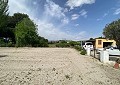 4 Bed Finca with Pool and Lovely Garden Area 10 Minutes Walk To Town of Sax in Alicante Dream Homes Castalla 
