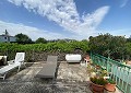 4 Bed Finca with Pool and Lovely Garden Area 10 Minutes Walk To Town of Sax in Alicante Dream Homes Castalla 