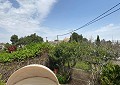 4 Bed Finca with Pool and Lovely Garden Area 10 Minutes Walk To Town of Sax in Alicante Dream Homes Castalla 