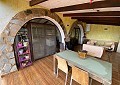Hermosa finca en Sax, 2 dormitorios, 1 baño con potencial para mucho más. in Alicante Dream Homes Castalla 