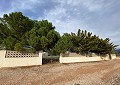 Hermosa finca en Sax, 2 dormitorios, 1 baño con potencial para mucho más. in Alicante Dream Homes Castalla 
