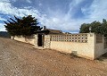Hermosa finca en Sax, 2 dormitorios, 1 baño con potencial para mucho más. in Alicante Dream Homes Castalla 