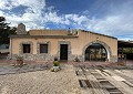 Hermosa finca en Sax, 2 dormitorios, 1 baño con potencial para mucho más. in Alicante Dream Homes Castalla 