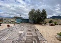 Hermosa finca en Sax, 2 dormitorios, 1 baño con potencial para mucho más. in Alicante Dream Homes Castalla 