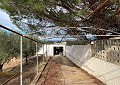 Hermosa finca en Sax, 2 dormitorios, 1 baño con potencial para mucho más. in Alicante Dream Homes Castalla 