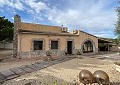 Hermosa finca en Sax, 2 dormitorios, 1 baño con potencial para mucho más. in Alicante Dream Homes Castalla 