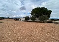 Hermosa finca en Sax, 2 dormitorios, 1 baño con potencial para mucho más. in Alicante Dream Homes Castalla 