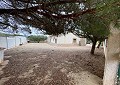 Hermosa finca en Sax, 2 dormitorios, 1 baño con potencial para mucho más. in Alicante Dream Homes Castalla 