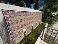 Huge Country Home in Alicante Dream Homes Castalla 